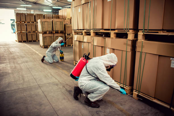 Best Affordable Pest Control Services  in Cordaville, MA