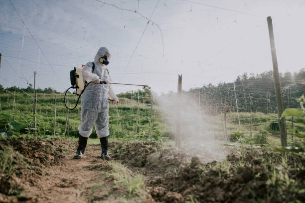 Best Mosquito Control Services  in Cordaville, MA