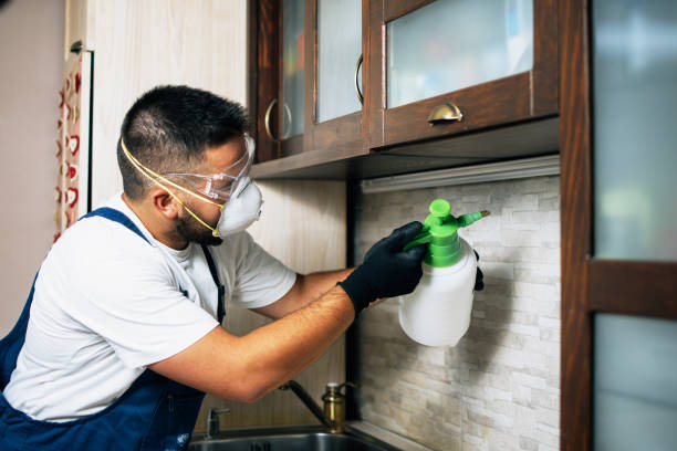 Pest Control Cost in Cordaville, MA