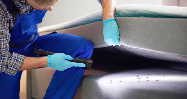 Best Cockroach Control Services  in Cordaville, MA