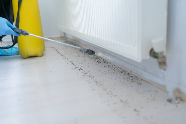 Pest Control for Restaurants in Cordaville, MA