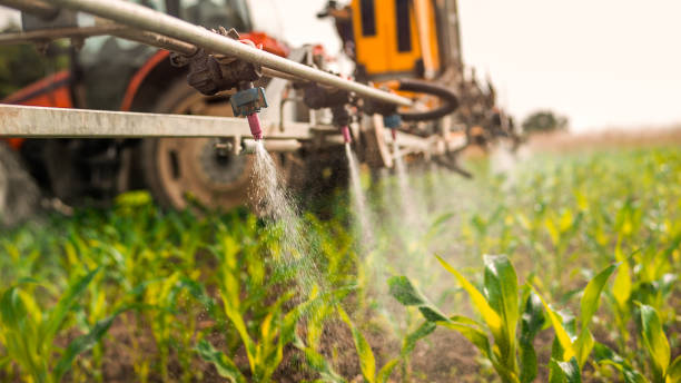 Best Wildlife Control Services  in Cordaville, MA